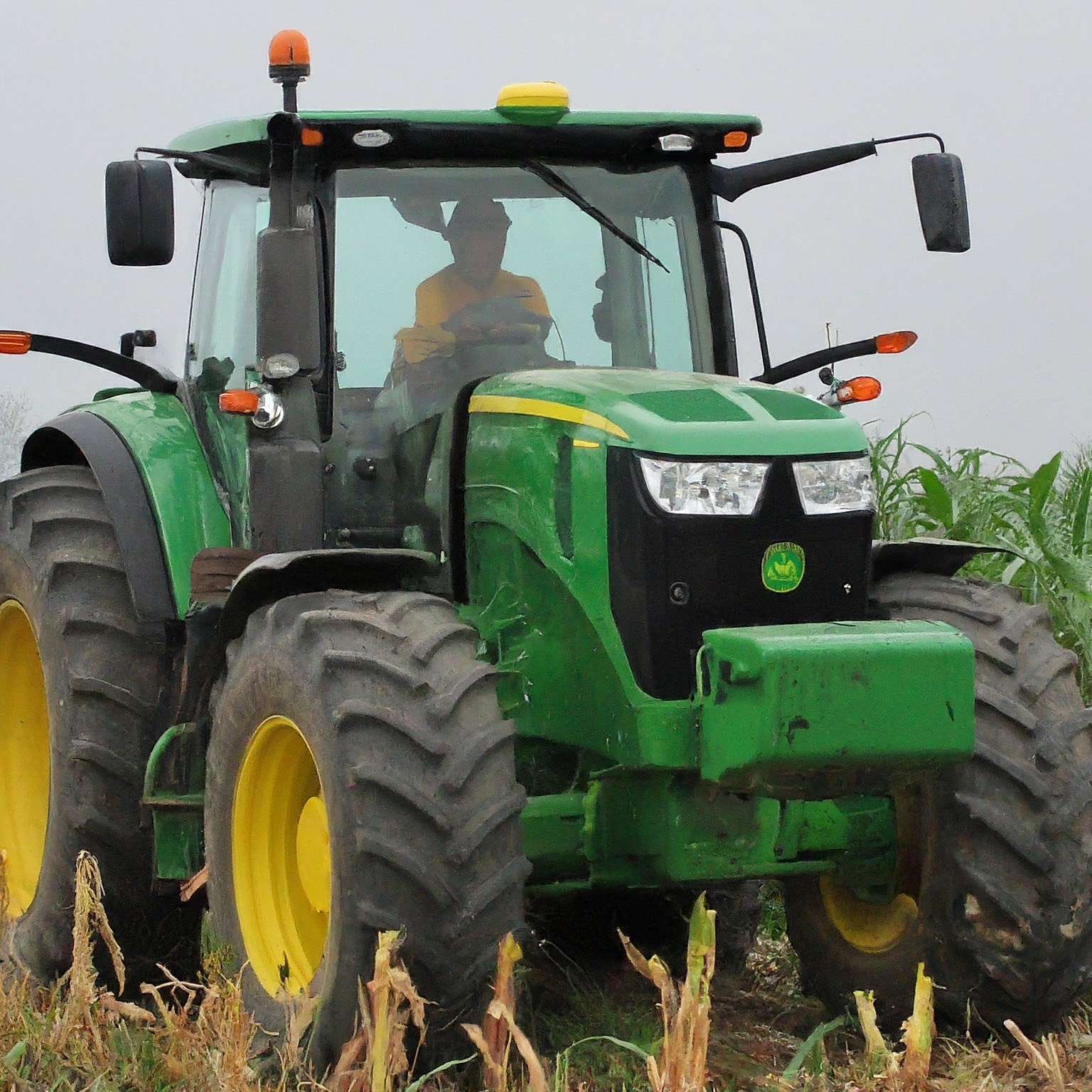 A tractor in corn